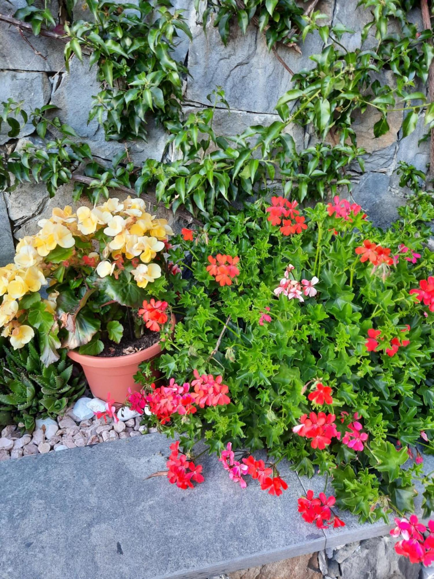 B&B Vignola Levanto Eksteriør billede