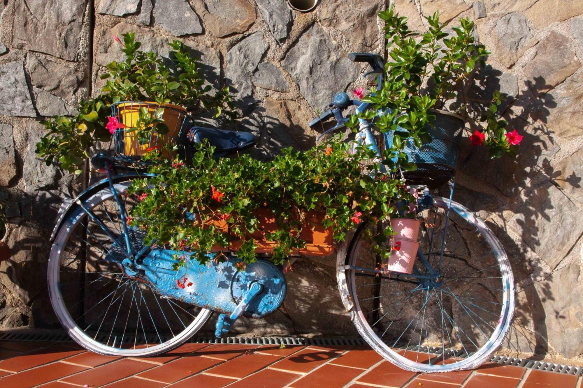 B&B Vignola Levanto Eksteriør billede