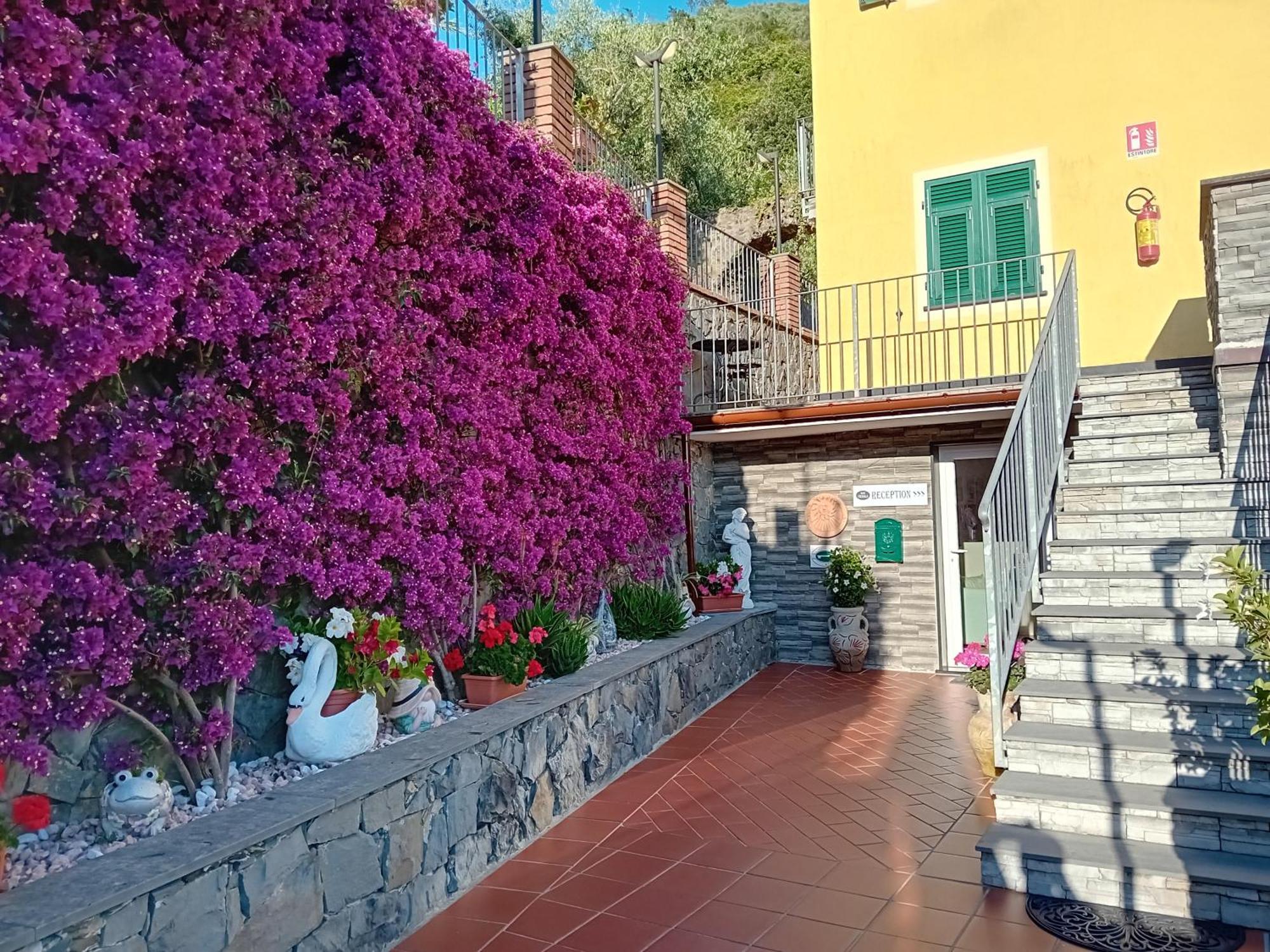 B&B Vignola Levanto Eksteriør billede
